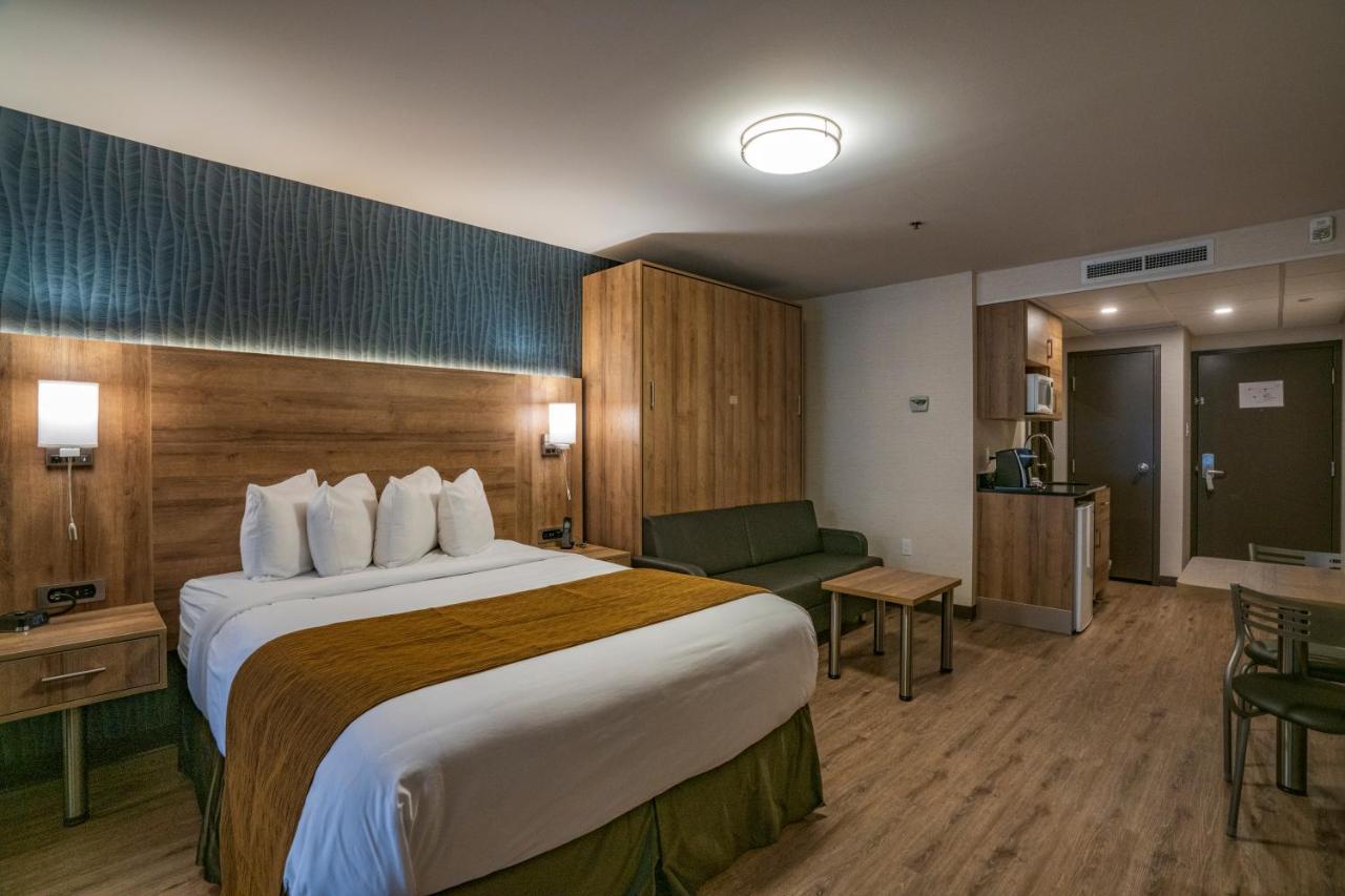 דראמונדוויל Quality Suites מראה חיצוני תמונה