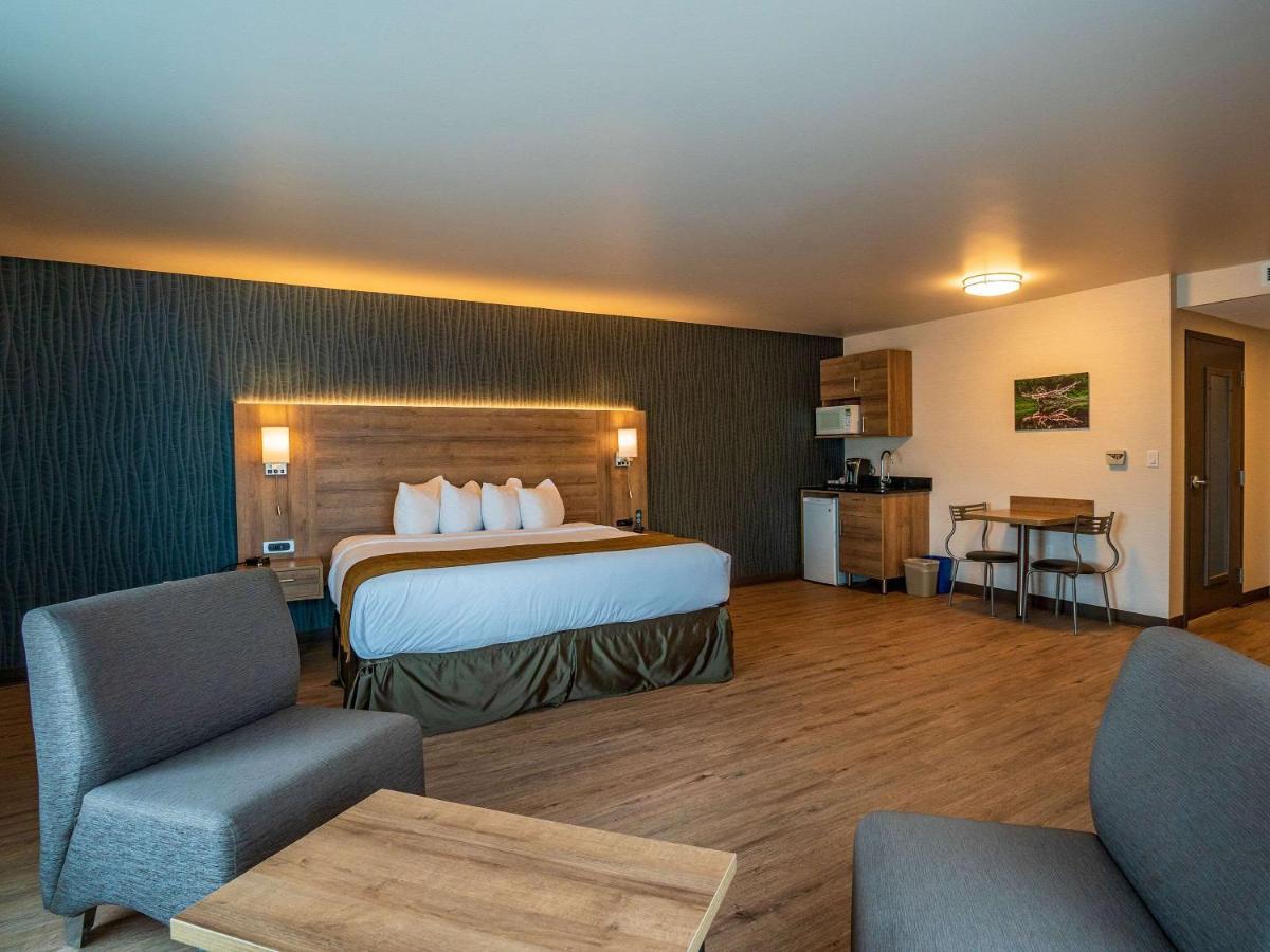 דראמונדוויל Quality Suites מראה חיצוני תמונה