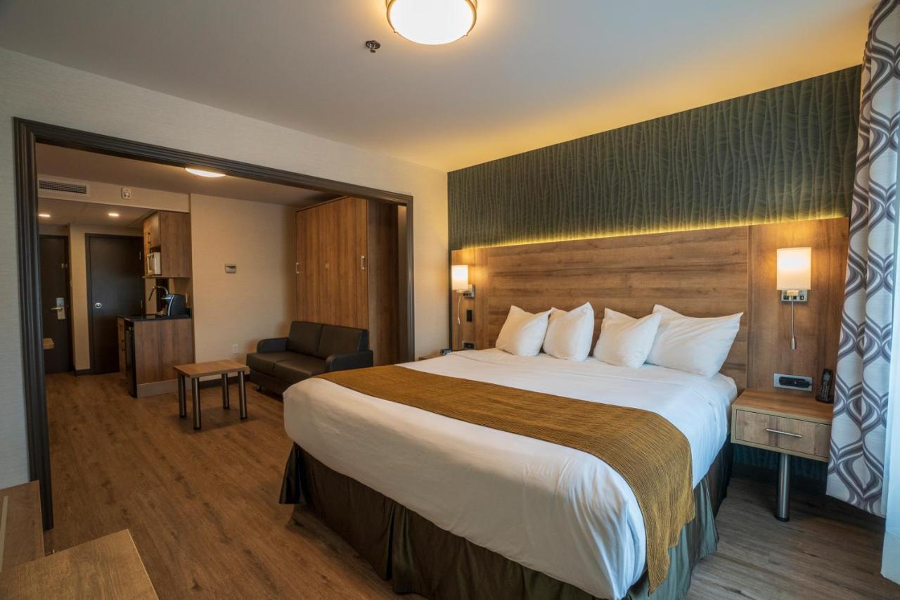 דראמונדוויל Quality Suites מראה חיצוני תמונה