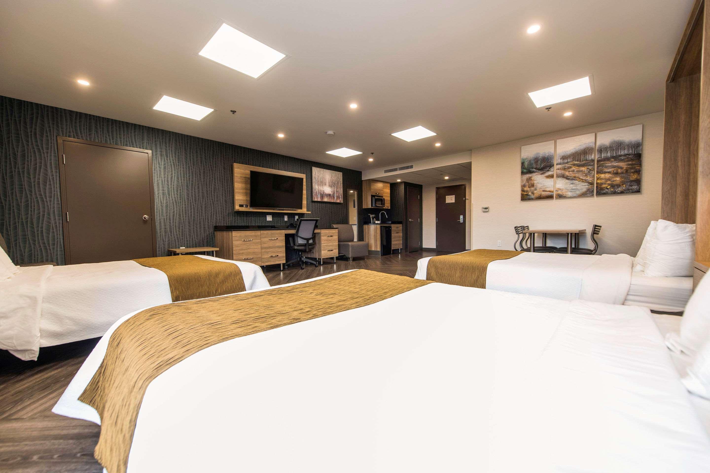 דראמונדוויל Quality Suites מראה חיצוני תמונה