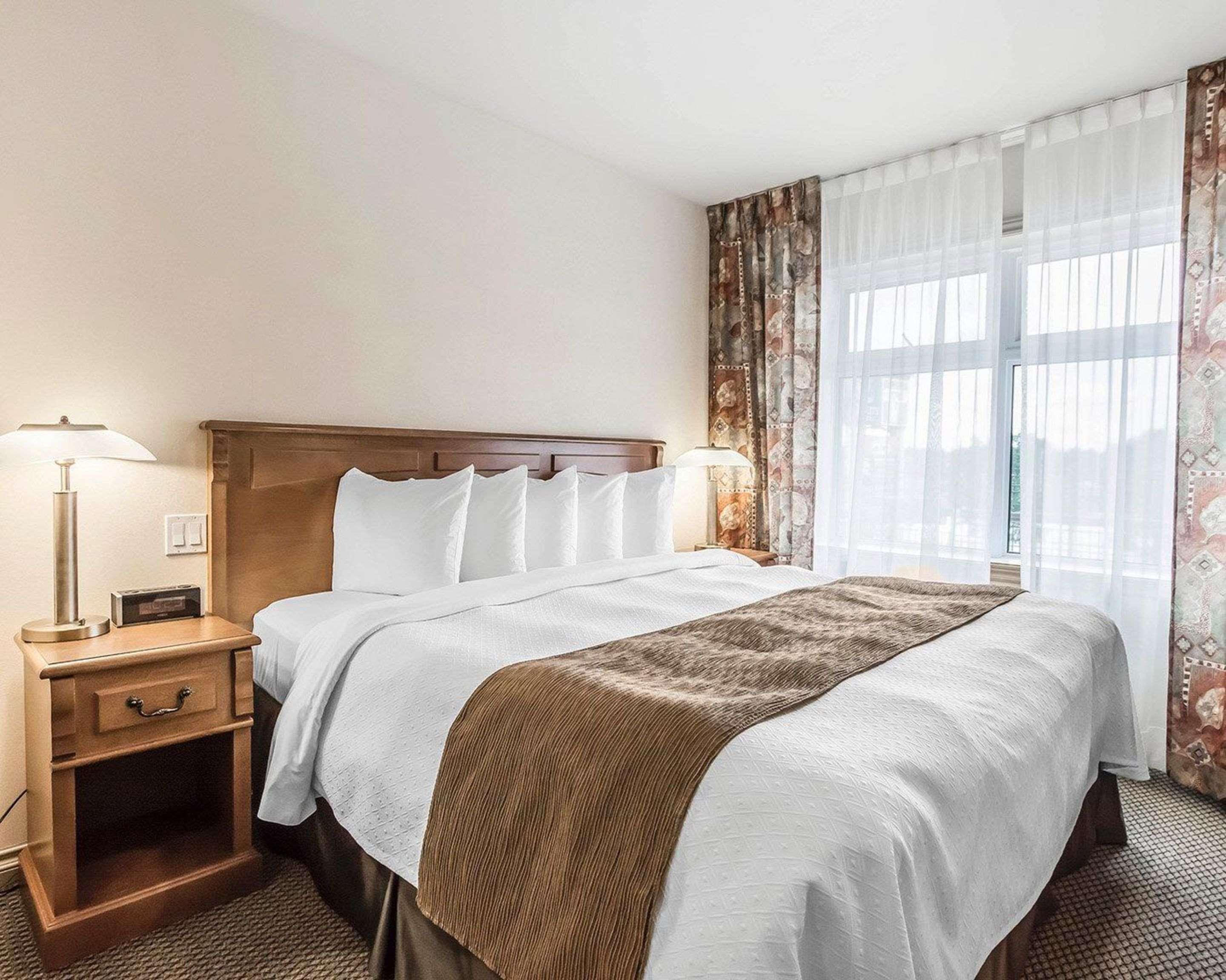דראמונדוויל Quality Suites מראה חיצוני תמונה