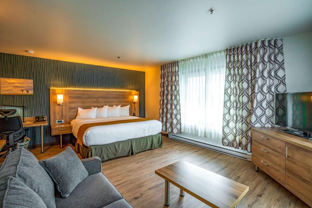 דראמונדוויל Quality Suites מראה חיצוני תמונה